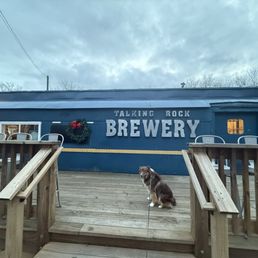 My dog in front of the brewery