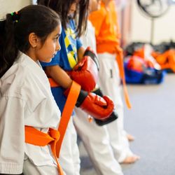 United Studios of Self Defense