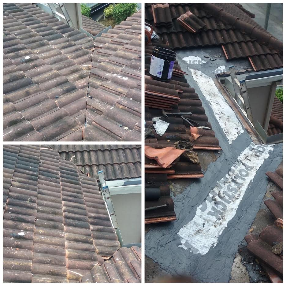 Slide of Native Roofing Enterprises