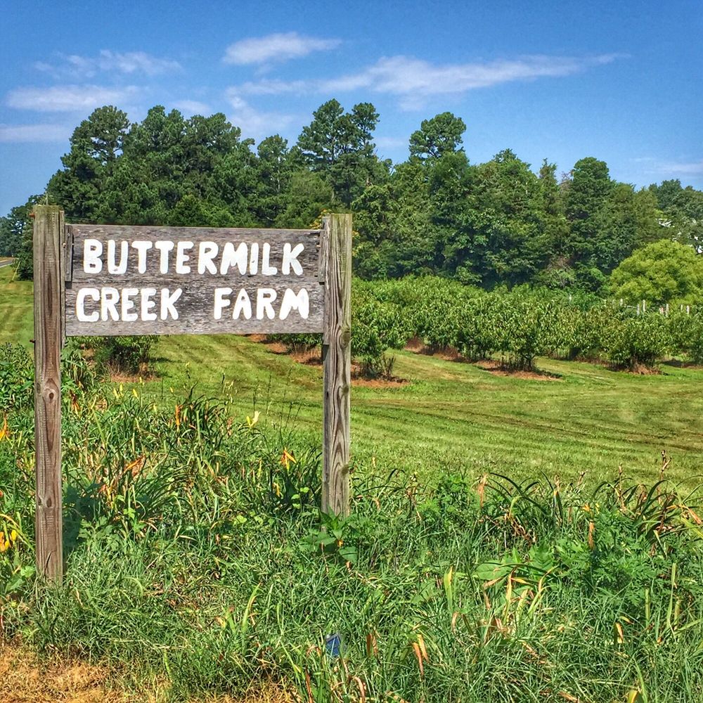 BUTTERMILK CREEK FARM 1905 Gwyn Rd, Burlington, NC Yelp