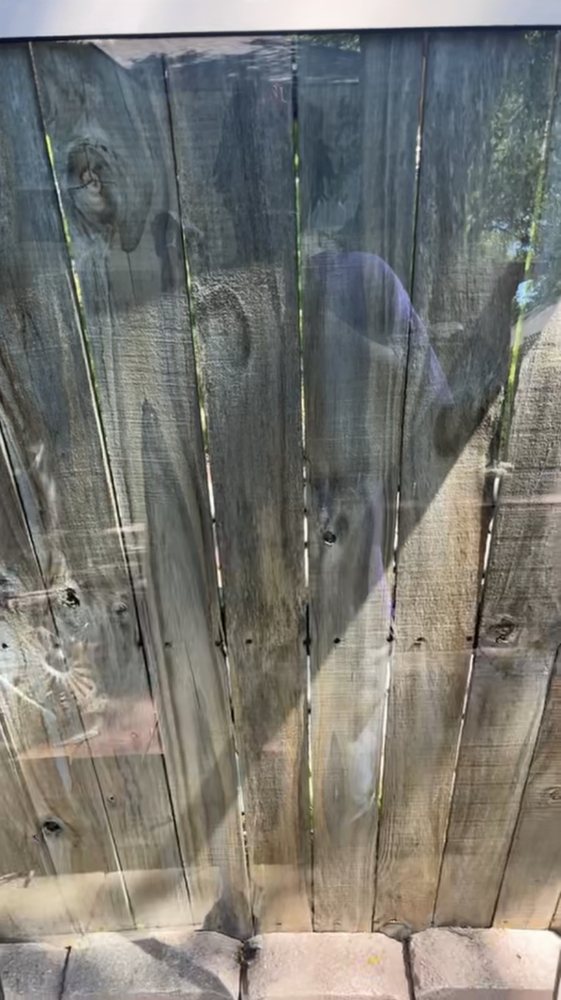 BENSON AND SONS WINDOW CLEANING Fort Worth, Texas Window Washing