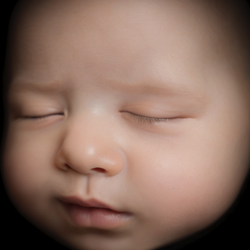 PeekABoo3D - 8K Image
