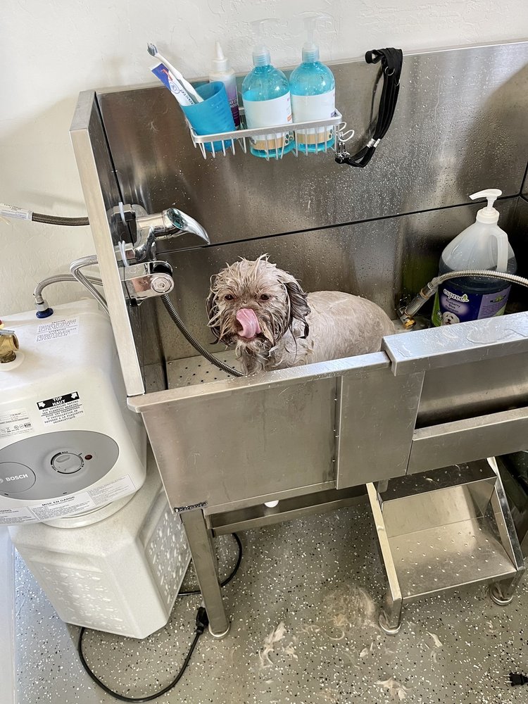 COOP’S PLACE GROOMING Updated September 2024 44 Photos & 13 Reviews 25313 S Valencia Ave