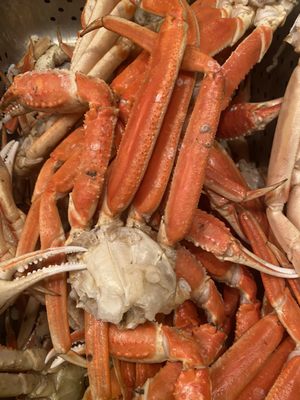Tradewinds Buffet by null