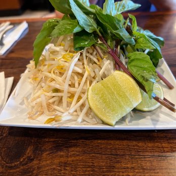 Pho Vietnam - Fresh mint and beans sprouts. - Vietnamese Near Me - Lakewood, Colorado Pho Vietnam - Fresh mint and beans sprouts. - Vietnamese Near Me - Lakewood, Colorado