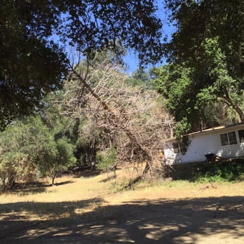 Chads Chippers - Tree coming down - Tree Services Near Me - Lancaster, California Chads Chippers - Tree coming down - Tree Services Near Me - Lancaster, California