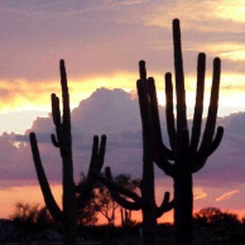 The Tony Ray Baker Team - Real Estate Agents Near Me - Tucson, Arizona The Tony Ray Baker Team - Real Estate Agents Near Me - Tucson, Arizona