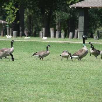 Island Park - Parks Near Me - Atlanta, Kansas Island Park - Parks Near Me - Atlanta, Kansas