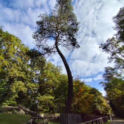 Wildpark Alte Fasanerie