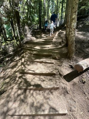 Sahalie Falls by null