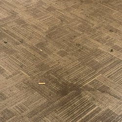 Villas at Auburn - This is the flooring and typical smells are from cigarettes/weed smokers