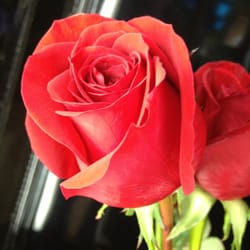 The Braintree Flower Shop - A rose is a rose.