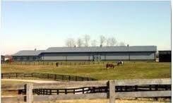 Dark Horse Training Center - equestrian in Louisville, KY