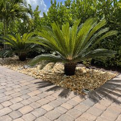 Sunkissed Lawn Care Services