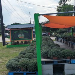 Angie's Fresh Produce - Easy to find and easy to park!
