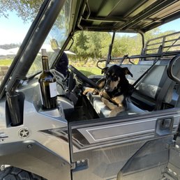 Dodger the doggo. Surprise ATV ride WITH wine!? Yes please!