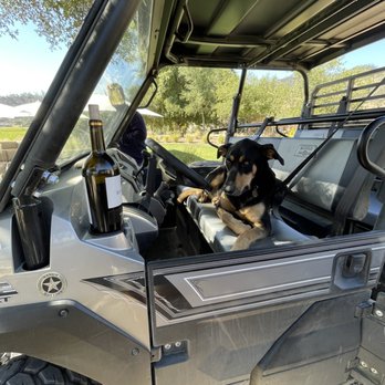 Reverie II - Dodger the doggo. Surprise ATV ride WITH wine!? Yes please! - Wineries Near Me - Calistoga, California