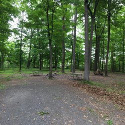 Tohickon Valley Park - Campsite 20.