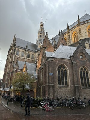 The St. Bavo Church in Haarlem by null