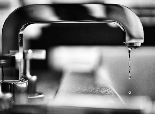 Maestro Plumbing Logo