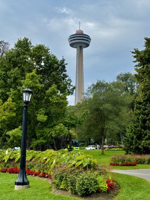 Queen Victoria Park by null