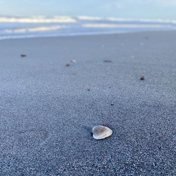 Millenium Beach Park - Seashells - Parks Near Me - Satellite Beach, Florida Millenium Beach Park - Seashells - Parks Near Me - Satellite Beach, Florida