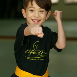 Life Ki-do Martial Arts, Parenting & Life Education