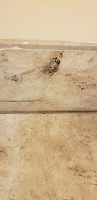 The Ponce St. Augustine Hotel by null