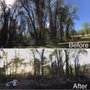 Photo of Green Effect Land & Tree