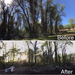 Green Effect Land & Tree - Before and after (10 Trees Cut)