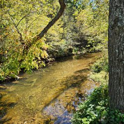 Lenn Park - Nice creek next to the corn and pea fields