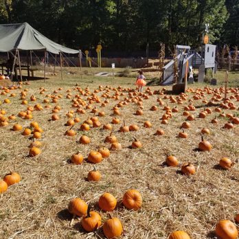 Clark's Farm - Nurseries & Gardening Near Me - Stafford, Virginia Clark's Farm - Nurseries & Gardening Near Me - Stafford, Virginia