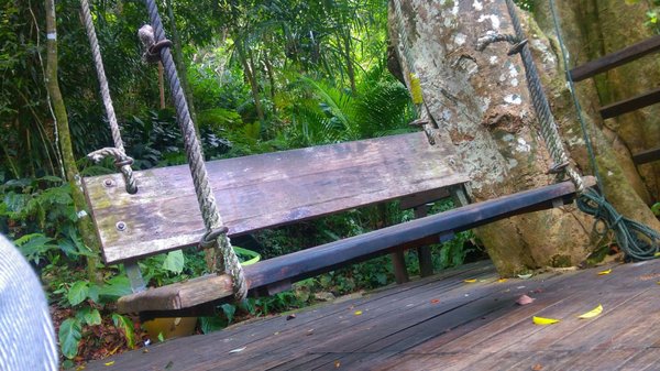 Tropical Spice Garden by null