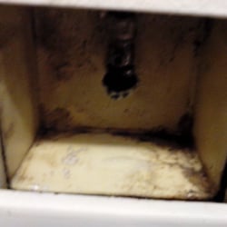 Slow leak in kitchen.