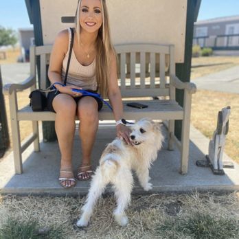 SPCA of Solano County - Post-adoption photo - Animal Shelters Near Me - Vacaville, California SPCA of Solano County - Post-adoption photo - Animal Shelters Near Me - Vacaville, California