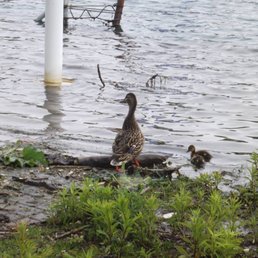 The reason to go to Ontario Place now.