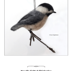 White Bear Center For the Arts - Try making a felted bird!