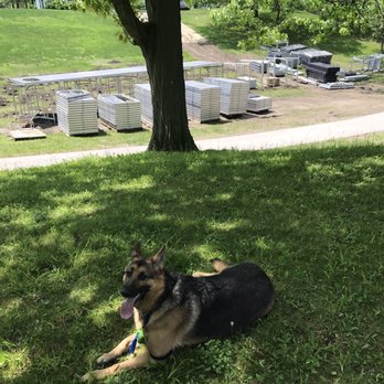 Delaware Park - Dog on Shakespeare Hill. - Parks Near Me - Buffalo, New York