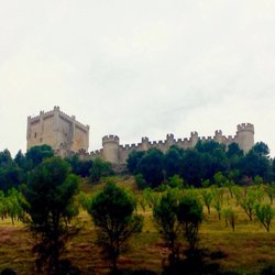 Castillo de Peñafiel