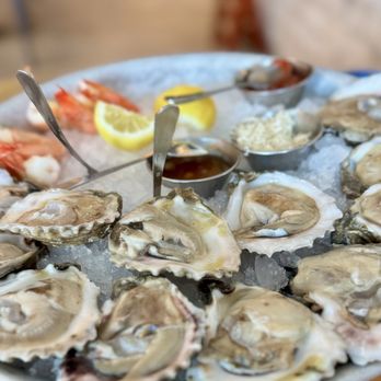 Salt Traders Coastal Cooking - Dozen oysters and 4 gulf shrimp cocktail - Seafood Near Me - Round Rock, Texas Salt Traders Coastal Cooking - Dozen oysters and 4 gulf shrimp cocktail - Seafood Near Me - Round Rock, Texas