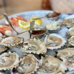 Salt Traders Coastal Cooking - Dozen oysters and 4 gulf shrimp cocktail