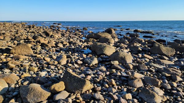 South Shore Beach by null