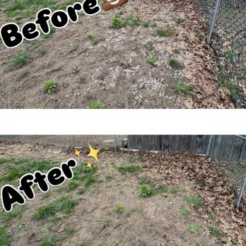 Adk Turds Away - Pet Waste Removal Near Me - Queensbury, New York Adk Turds Away - Pet Waste Removal Near Me - Queensbury, New York
