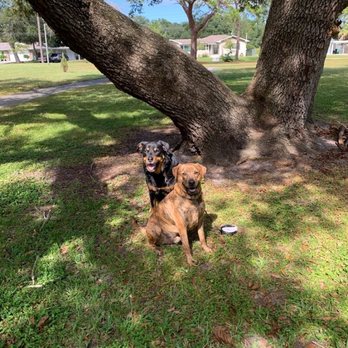 Rover Heights - Karma and Dasher - Dog Walkers Near Me Rover Heights - Karma and Dasher - Dog Walkers Near Me