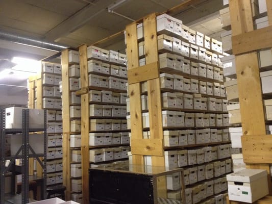 Jerry's Records by null