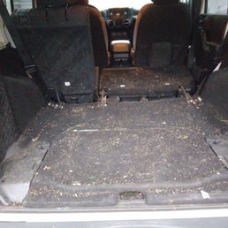 Before covered in grass, wood chips, dog hair and dirt. Before covered in grass, wood chips, dog hair and dirt.
