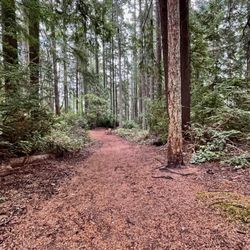 Grandview Forest Park - Grandview Forest Park