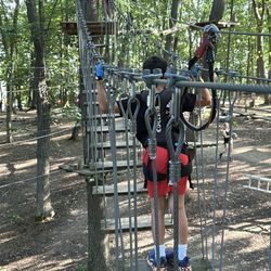 Tree Runner Adventure Park