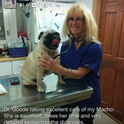 Janice Goode, DVM - Dr. Goode at Frankford Animal Clinic, doing what she loves to do, care for your furry babies