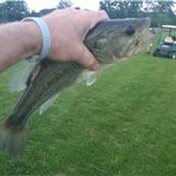 Downing Farms Golf Course - Gas Man/Bass Man - Golf Near Me - Northville, Michigan Downing Farms Golf Course - Gas Man/Bass Man - Golf Near Me - Northville, Michigan